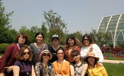 《朋友年轻的妈妈》中字头歌词